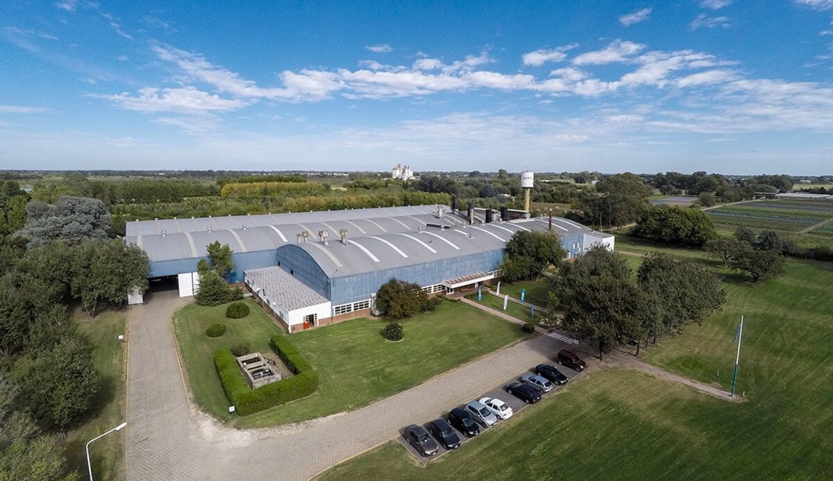 Grupo Govan Announces $4 Million Investment in New Division