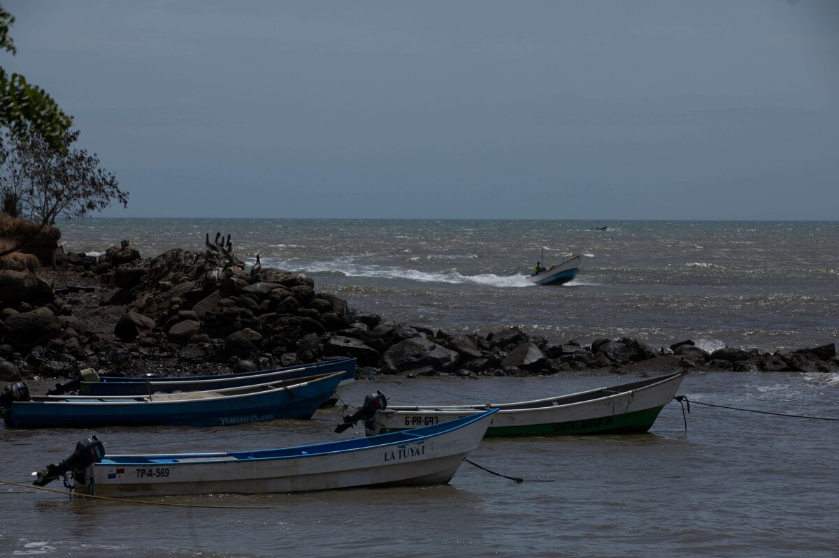 Three Young Women from Island Nations Win International Ocean Award