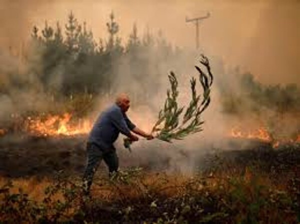 Alert for Forest Fires in Viña del Mar