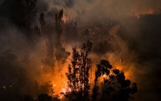 20 Die in Chile Forest Fires