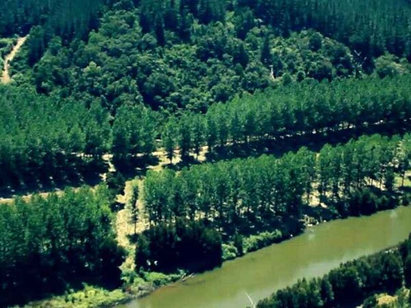 The Agricultural Crisis in La Araucanía
