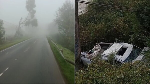 Tragic Accident Claims Life of Young Girl in Los Lagos