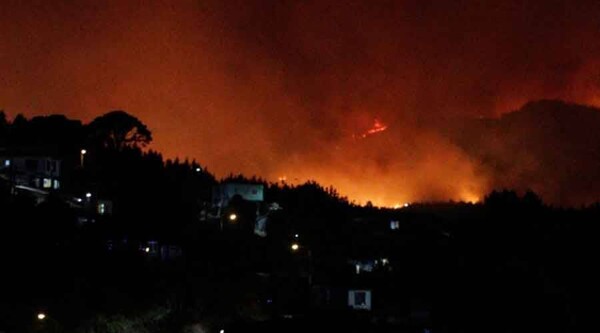 Chilean President Declares State of Disaster Over Forest Fires