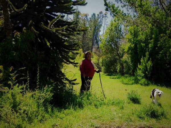 Indigenous Elder Remains in Prison Despite Health Issues